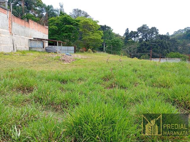 #271 - Chácaras / Sitios para Venda em Franco da Rocha - SP - 2